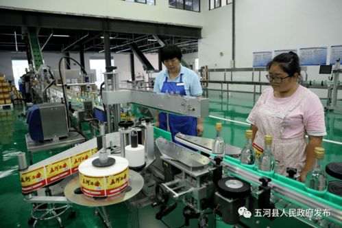 安徽淮酒新廠正式啟用，開啟酒類經營新篇章