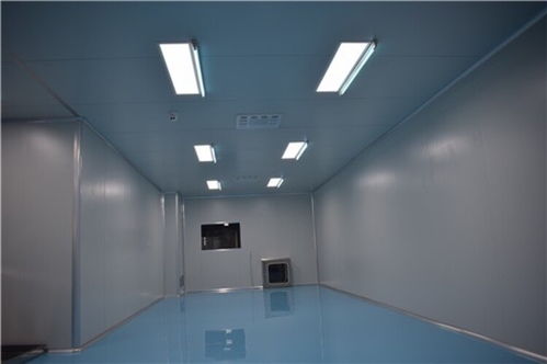新起點糕點廠車間凈化裝修工程,河南麻辣食品廠凈化裝修 凈化板規(guī)格